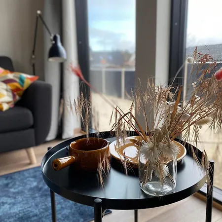 Prázdninový dům Esehytter Luxury Near Nymindegab