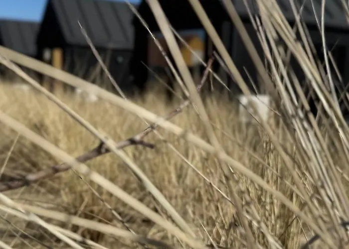 Esehytter Luxury Near 4* Nymindegab